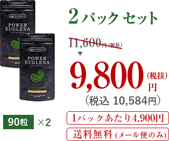 90粒2パック