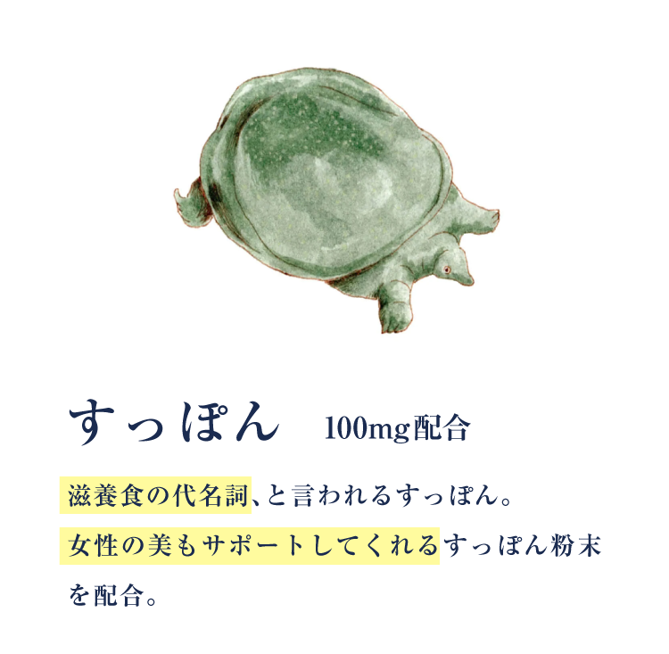 すっぽん