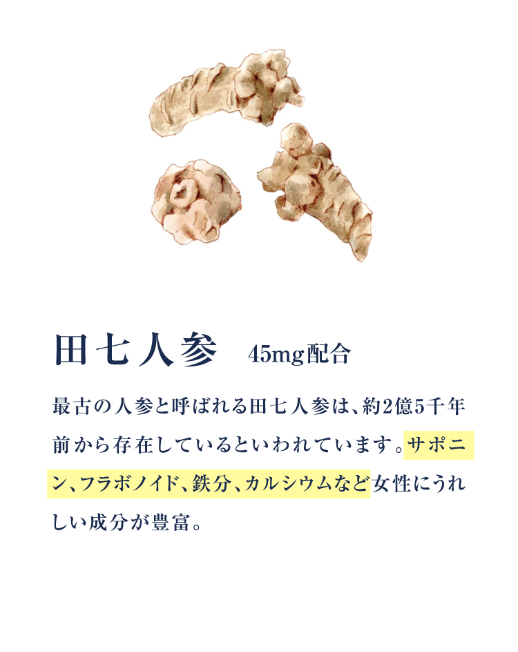 田七人参