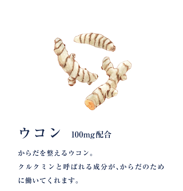 ウコン