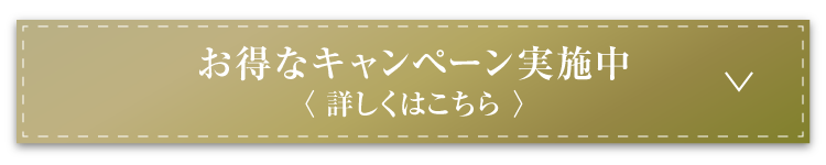 お得なキャンペーン実施中＜詳しくはこちら＞