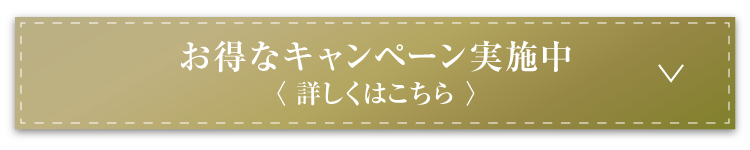 お得なキャンペーン実施中＜詳しくはこちら＞