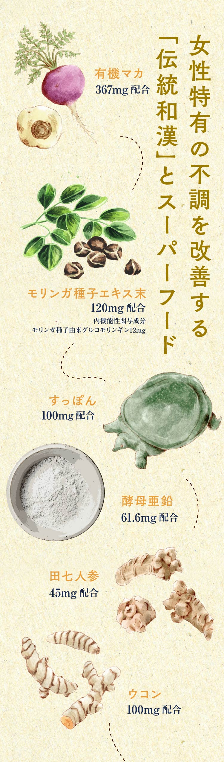 女性特有の不調を改善する「伝統和漢」とスーパーフード