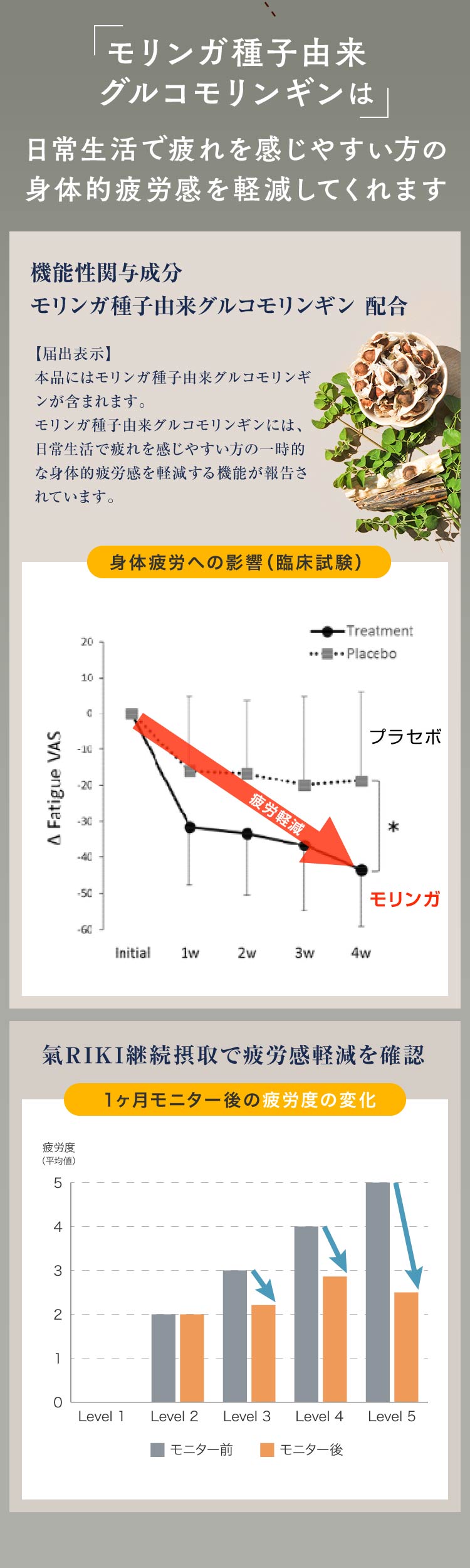 モリンガ種子由来グルコモリンギン」は日常生活で疲れを感じやすい方の身体的疲労感を軽減してくれます