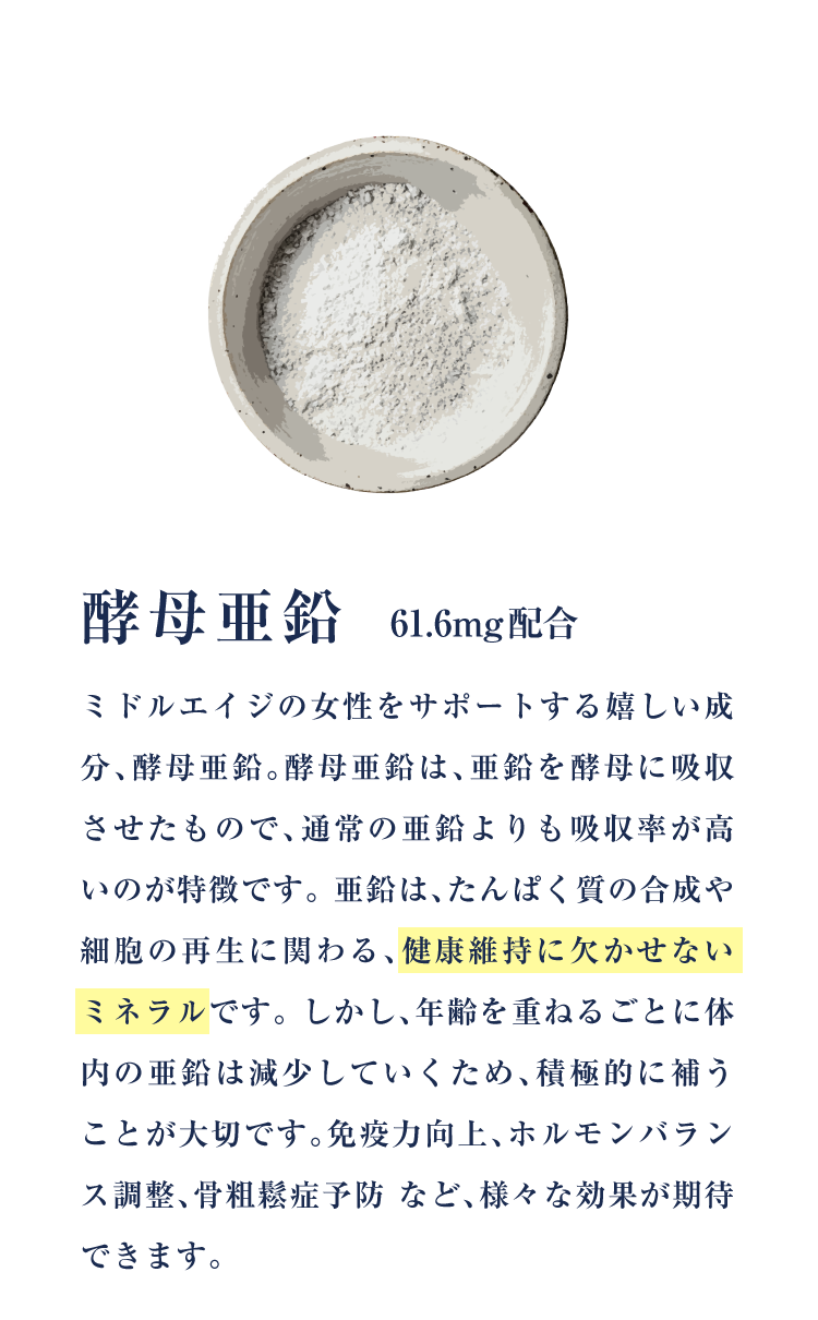 酵母亜鉛
