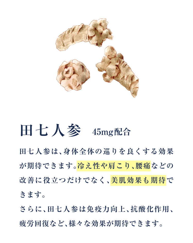 田七人参