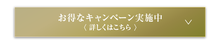 お得なキャンペーン実施中＜詳しくはこちら＞