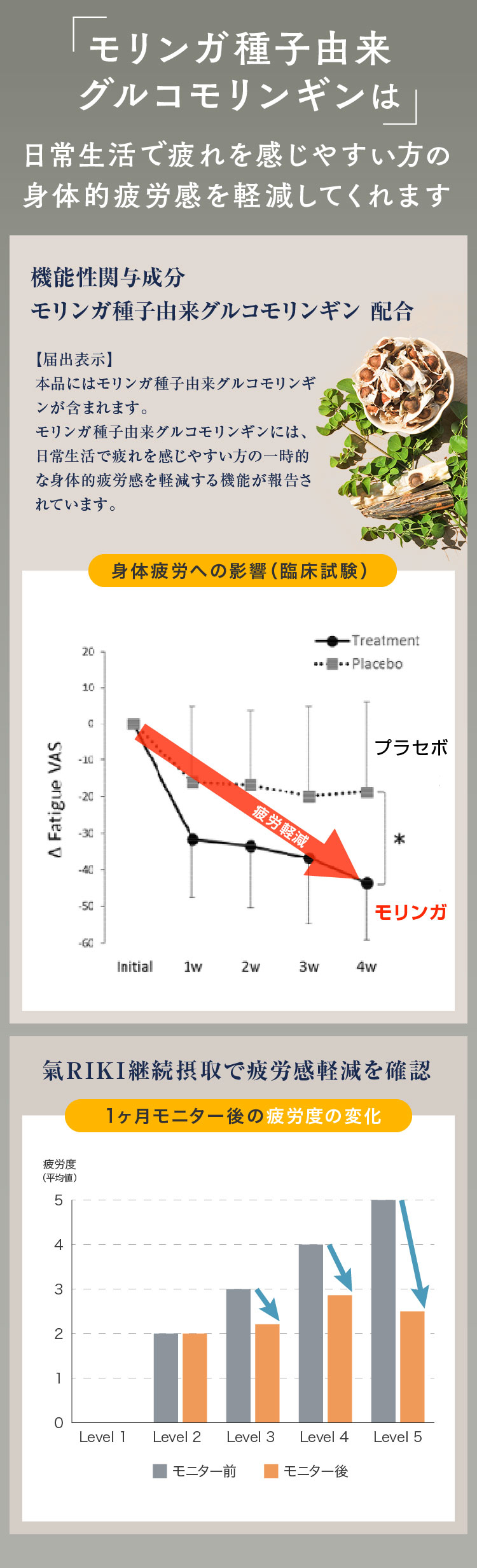 モリンガ種子由来グルコモリンギンは日常生活で疲れを感じやすい方の身体的疲労感を軽減してくれます