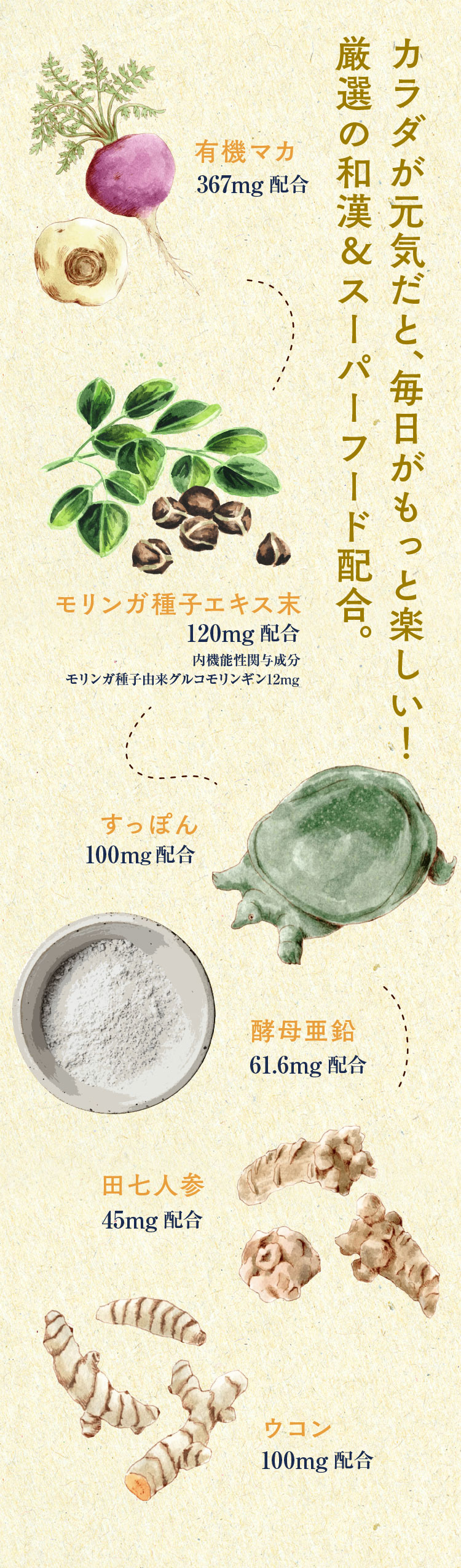 カラダが元気だと、毎日がもっと楽しい！厳選の和漢＆スーパーフード配合。