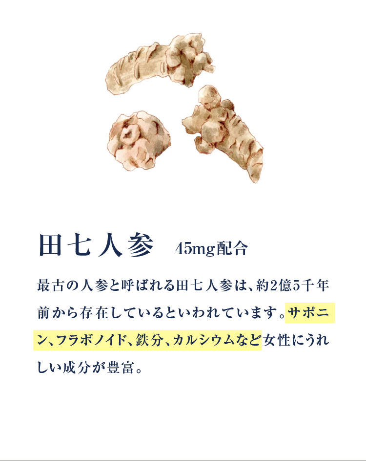 田七人参 45mg配合