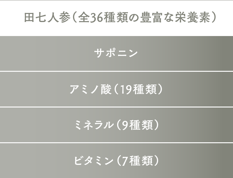 田七人参（全36種類の豊富な栄養素）