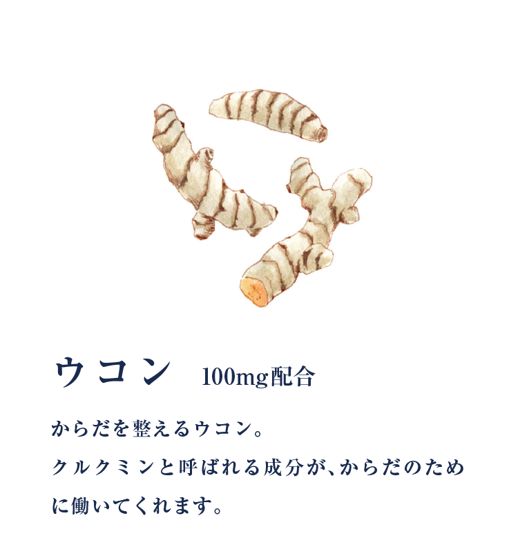 ウコン 100mg配合