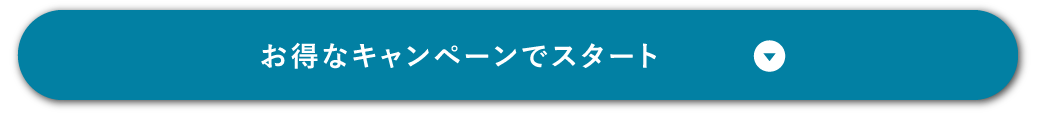 お得なキャンペーンでスタート