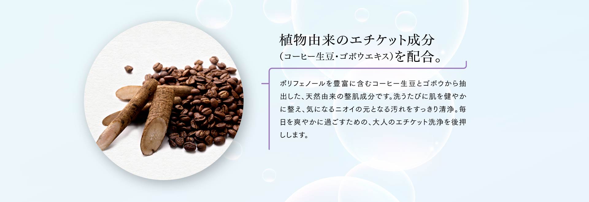 植物由来のエチケット成分