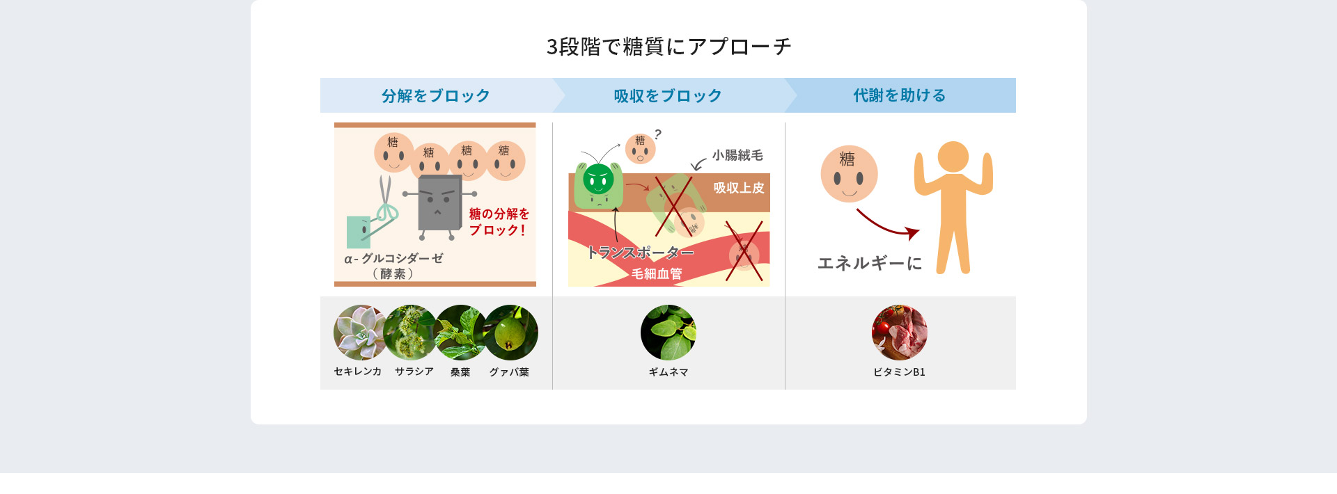 3段階で糖質にアプローチ