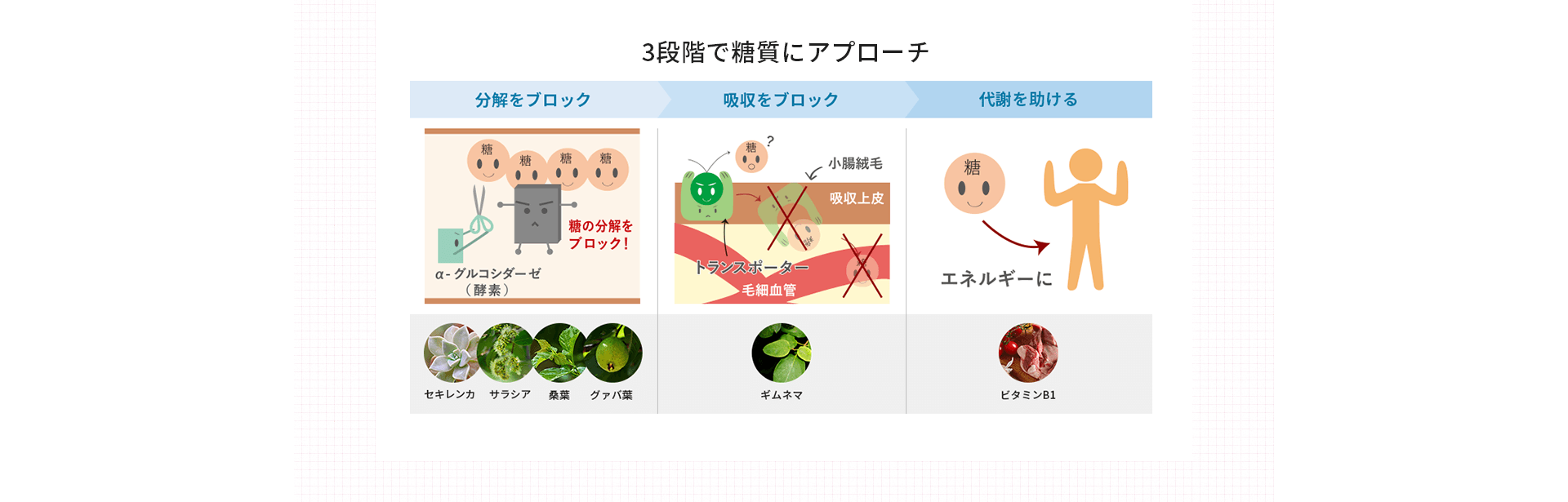 3段階で糖質にアプローチ