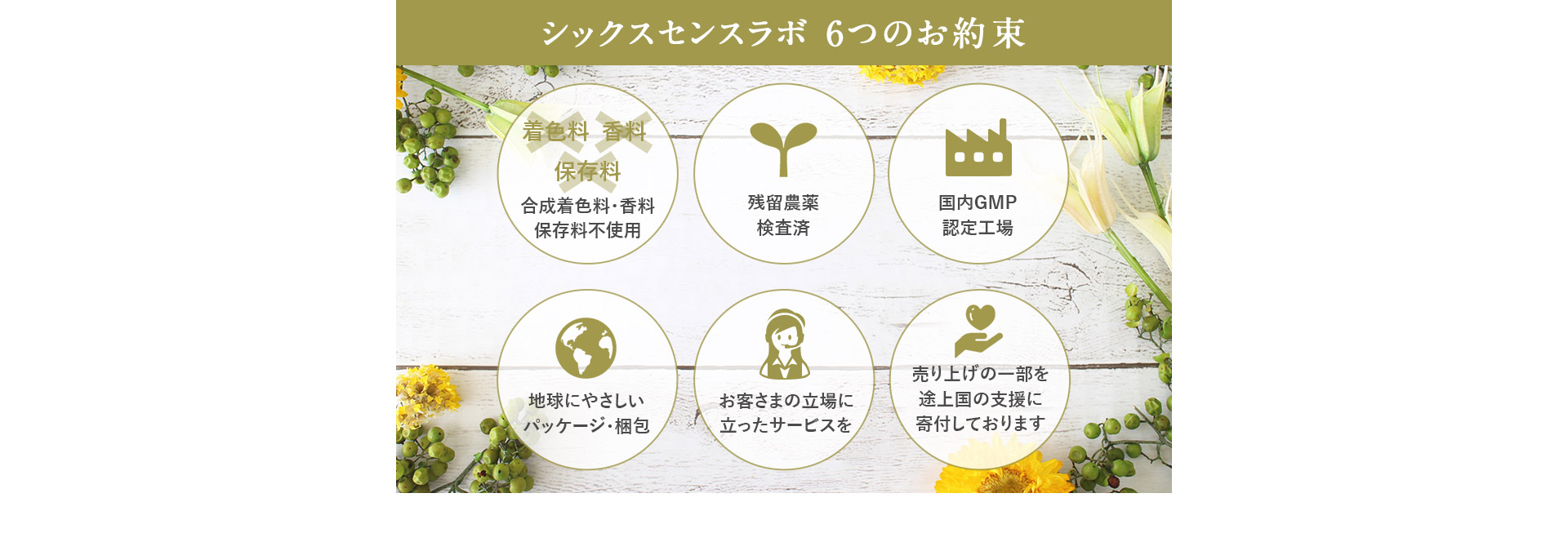 シックスセンスラボ 6つのお約束
