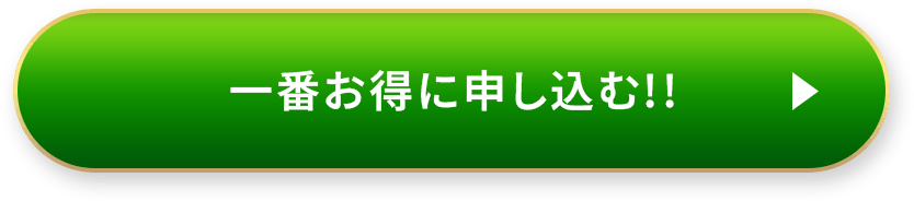 一番お得に申し込む!!