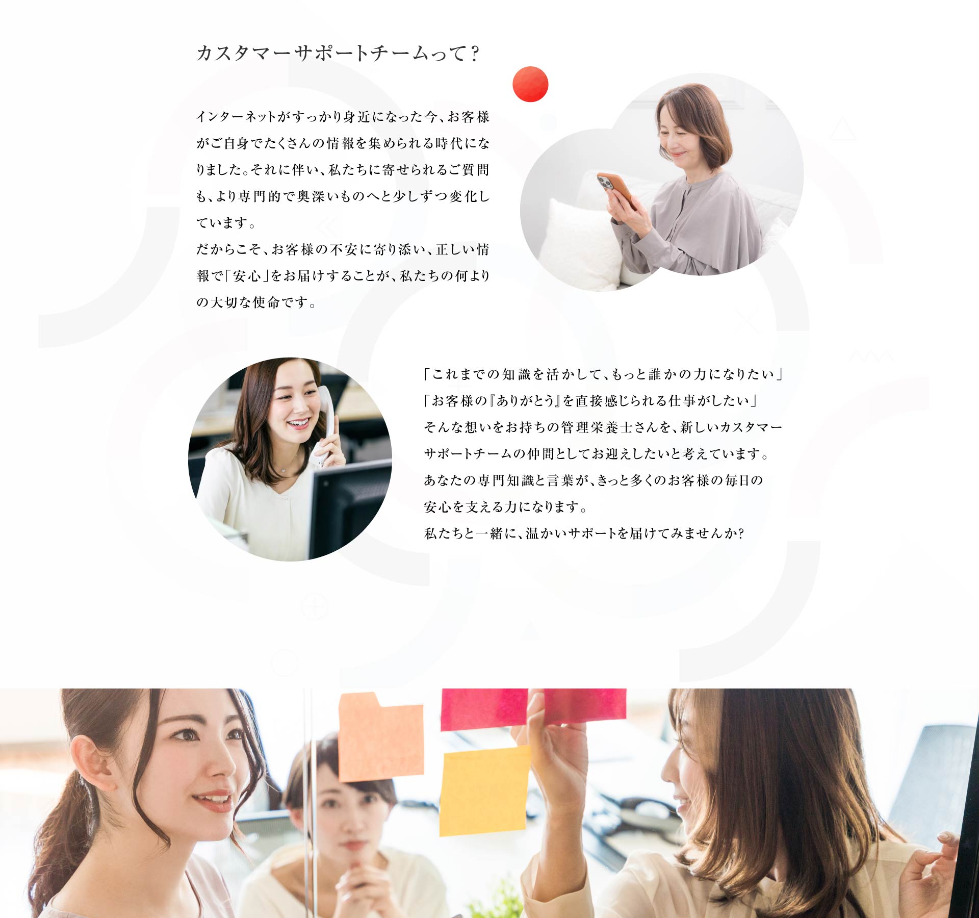 カスタマーサポートチームって？
