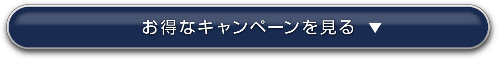 お得なキャンペーンを見る