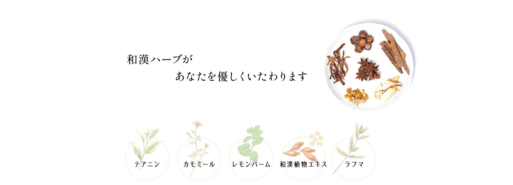 和漢ハーブがあなたを優しくいたわります