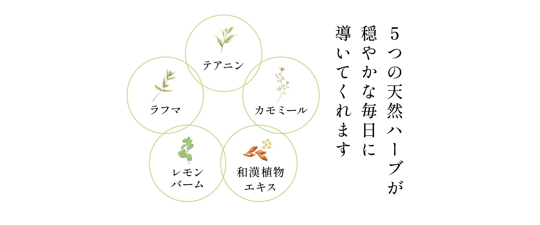 ５つの天然ハーブが穏やかな毎日に導いてくれます