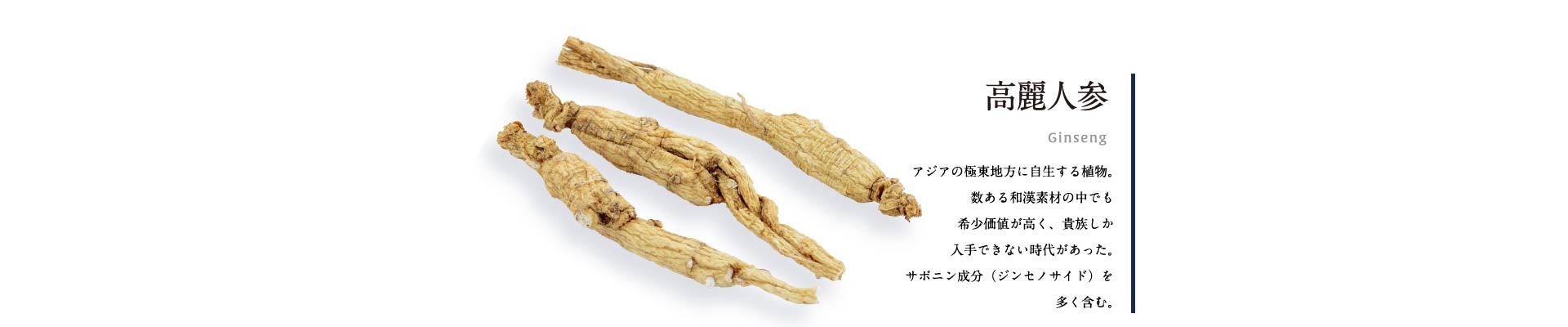 高麗人参 アジアの極東地方に自生する植物。数ある和漢素材の中でも希少価値が高く、貴族しか入手できない時代があった。サポニン成分（ジンセノサイド）を多く含む。