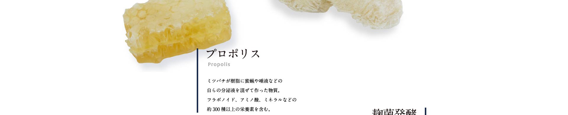 プロポリス ミツバチが樹脂に蜜蝋や唾液などの自らの分泌液を混ぜて作った物質。フラボノイド、アミノ酸、ミネラルなどの約300種以上の栄養素を含む。
