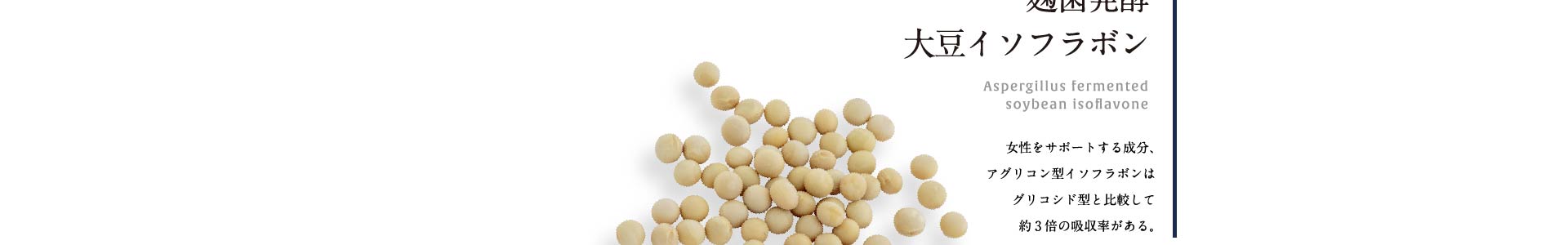 麹菌発酵大豆イソフラボン 女性をサポートする成分、アグリコン型イソフラボンはグリコシド型と比較して約3倍の吸収率がある。