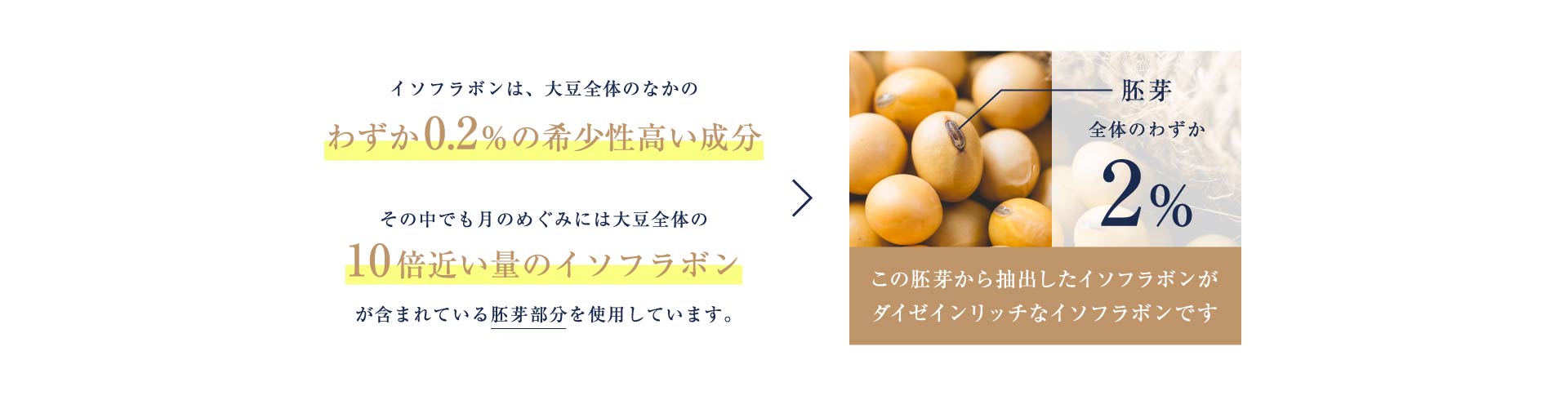 この胚芽から抽出したイソフラボンがダイゼインリッチなイソフラボンです