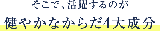 そこで、活躍するのが健やかなからだ4大成分