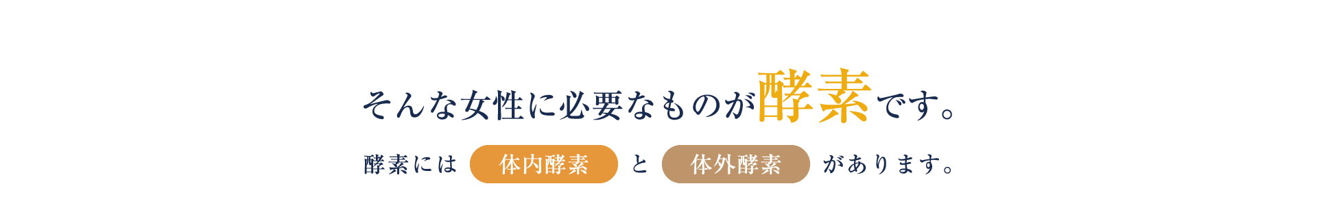 そんな女性に必要なものが酵素です。酵素には体内酵素と体外酵素があります。