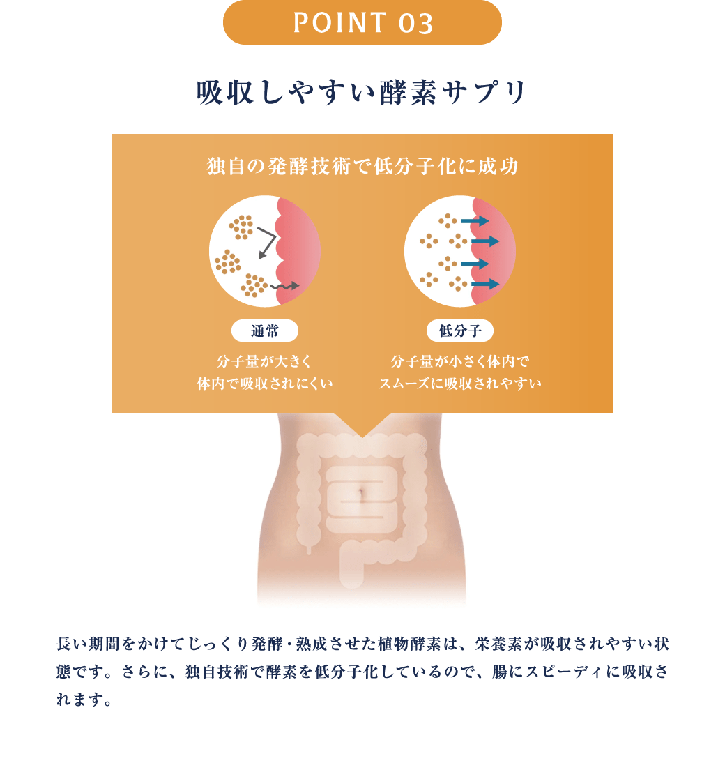 POINT3 吸収しやすい酵素サプリ 長い期間をかけてじっくり発酵・熟成させた植物酵素は、栄養素が吸収されやすい状態です。さらに、独自技術で酵素を低分子化しているので、腸にスピーディに吸収されます。