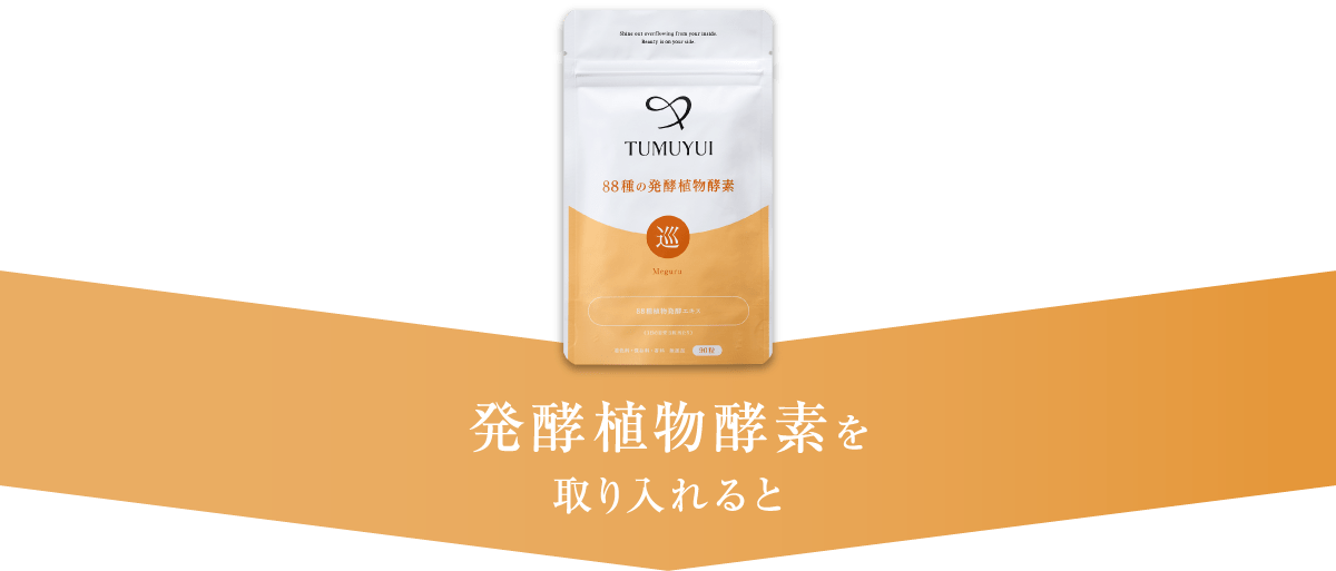 発酵植物酵素を取り入れると
