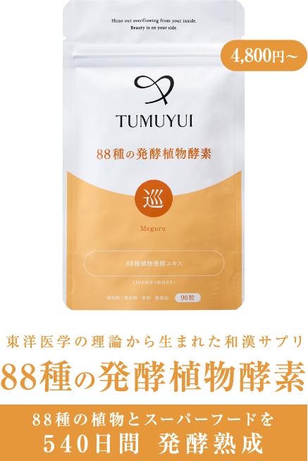 東洋医学の理論から生まれた和漢サプリ 88種の発酵植物酵素 初回限定2,980円　88種の植物とスーパーフードを540日間 発酵熟成