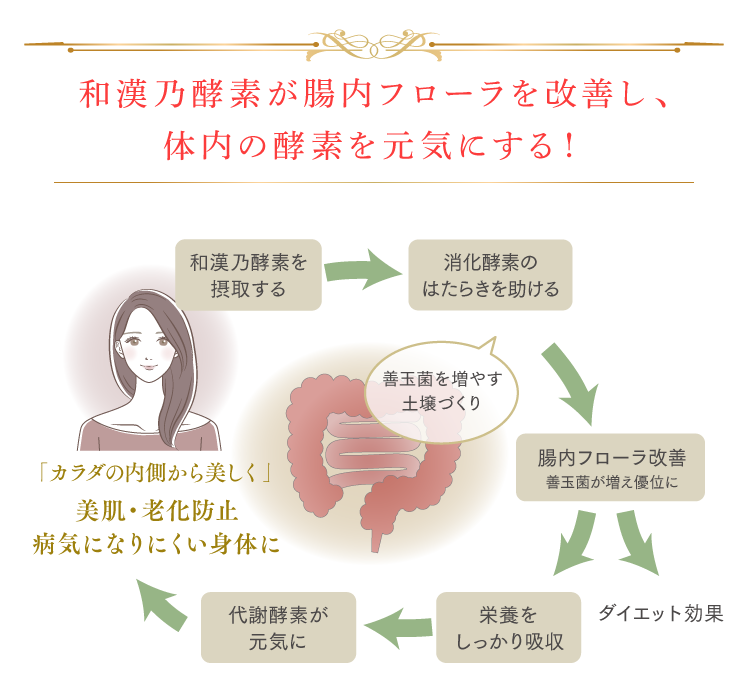 和漢乃酵素が腸内フローラを改善し、体内の酵素を元気にする！