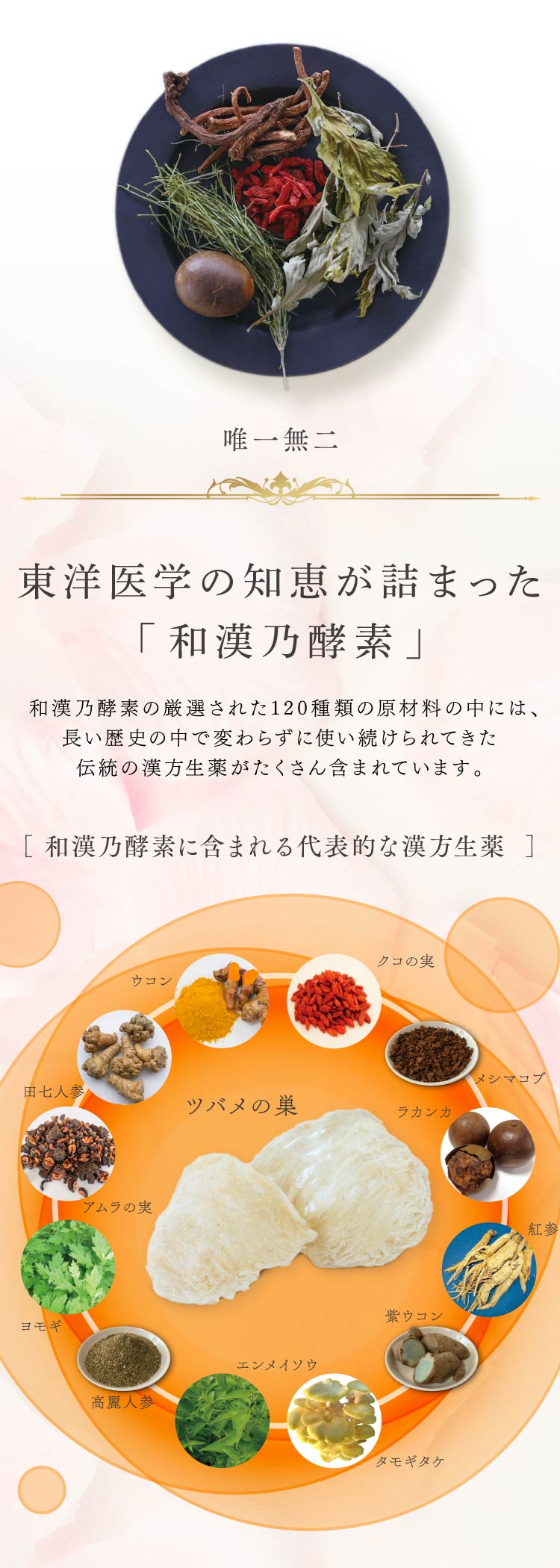 東洋医学の知恵が詰まった「和漢乃酵素」