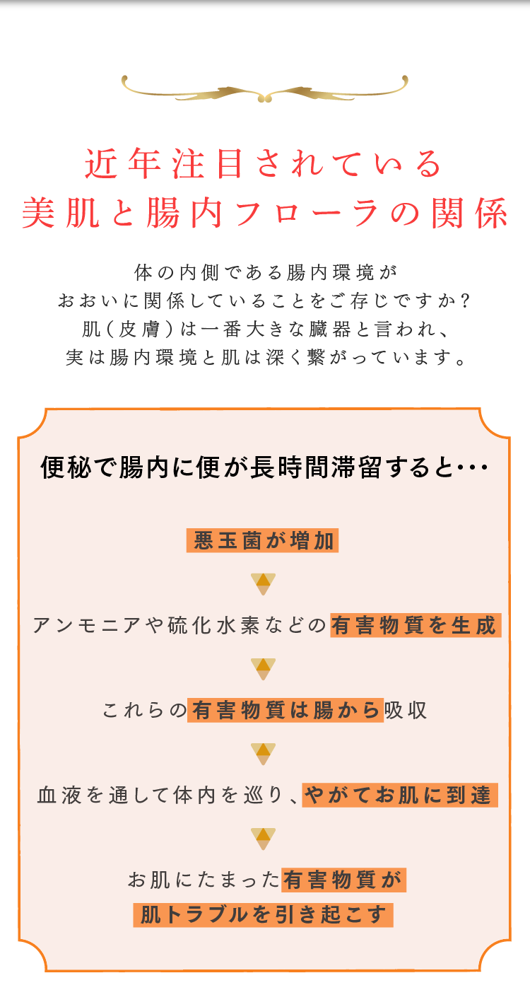 近年注目されている美肌と腸内フローラの関係