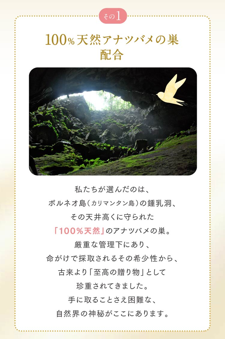 100%天然アナツバメの巣 配合