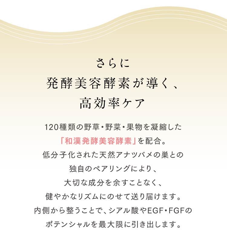さらに発酵美容酵素が導く、高効率ケア