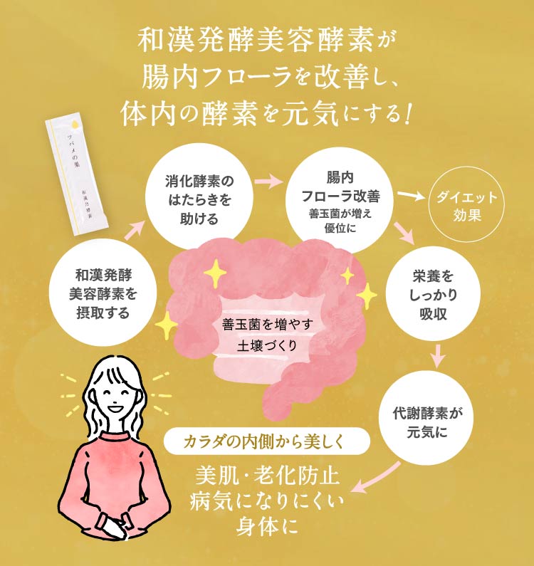 和漢発酵美容酵素が腸内フローラを改善し、体内の酵素を元気にする！